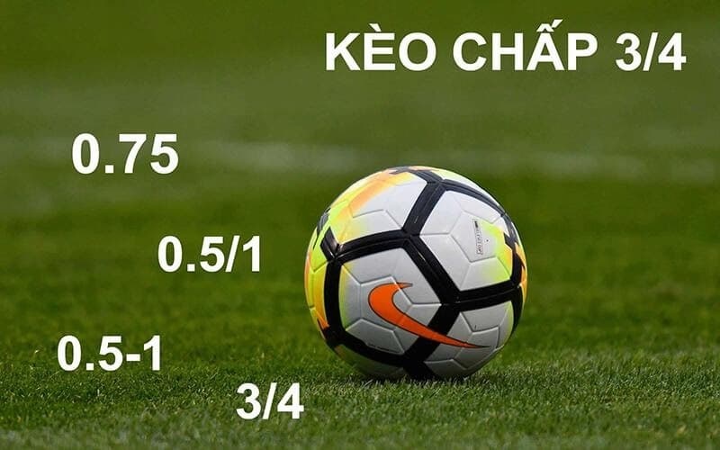 Kèo chấp cực Wibo88