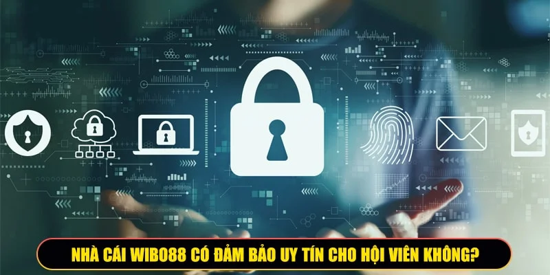 nhà cái Wibo88 uy tín 