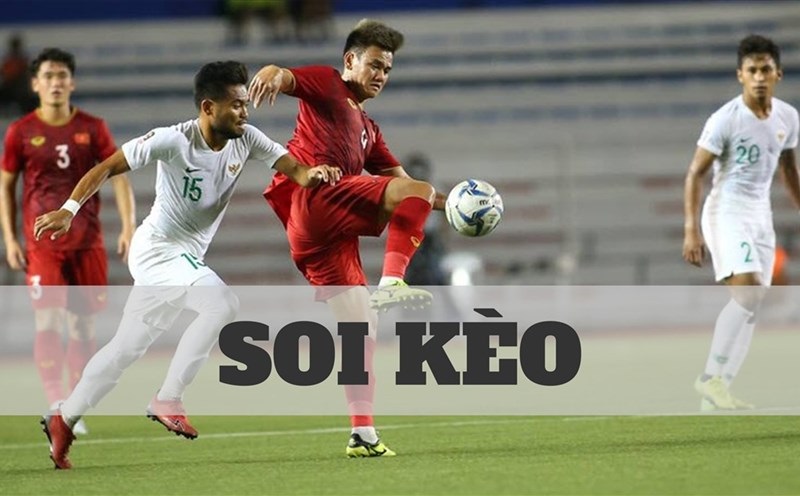 Soi kèo tại Wibo88