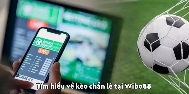 Tìm hiểu về kèo chẵn lẻ tại Wibo88