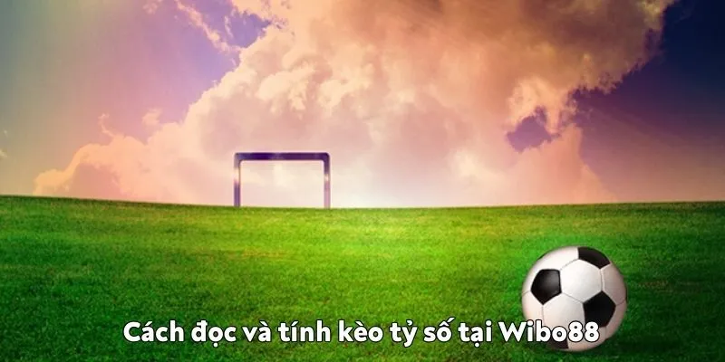 Cách đọc và tính kèo tỷ số cho người mới tại Wibo88 Cách đọc và tính kèo tỷ số tại Wibo88