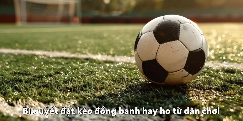 Hướng dẫn đọc kèo đồng banh chuẩn từ Wibo88 Bí quyết đặt kèo đồng banh